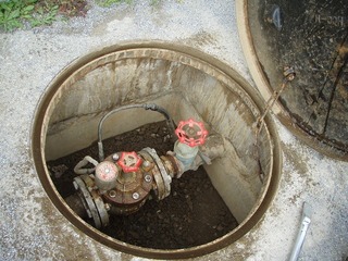 s-PA240009.jpg