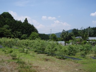 s_P6040075.JPG